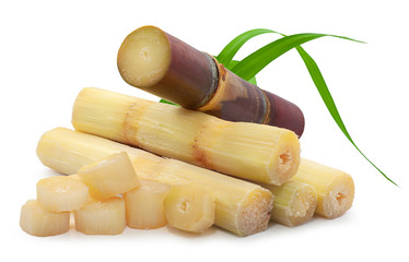 Sugarcane Image
